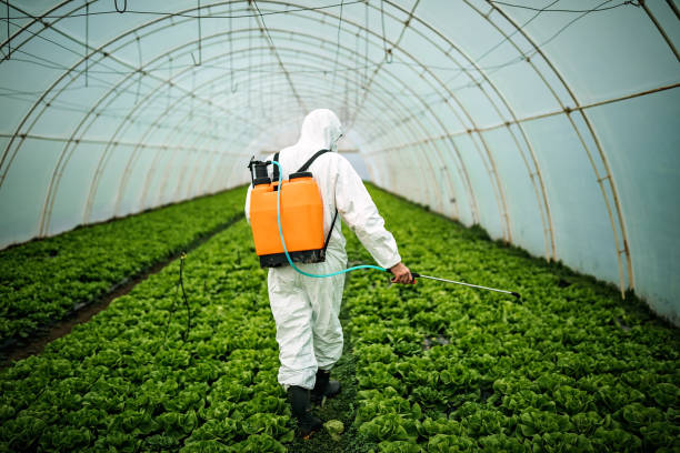 Best Emergency Pest Control  in Colfax, IL