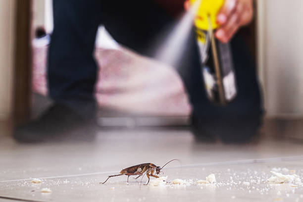 Wildlife Control Services in Colfax, IL