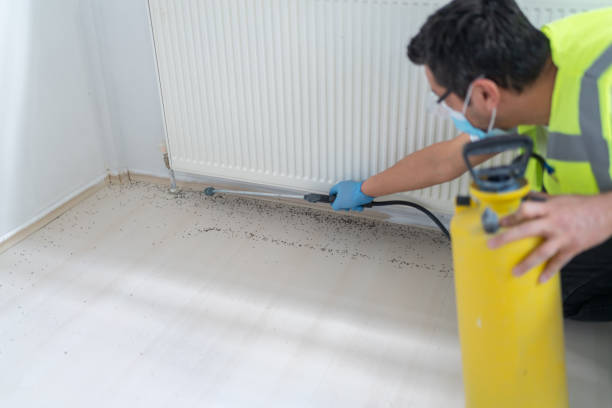Best Mosquito Control Services  in Colfax, IL