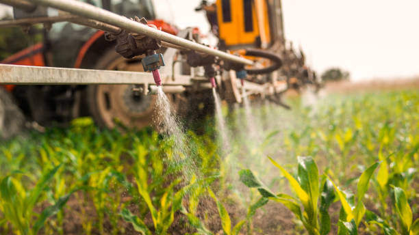 Best Wildlife Control Services  in Colfax, IL